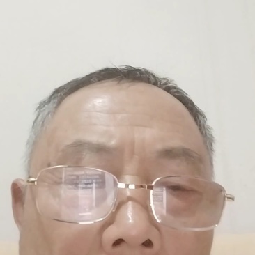 高山（海泼在800米左右）野生绿茶，手工制作，现货不多。