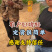 精品河北精品茉莉香葡萄产地直发一手货源质量保证