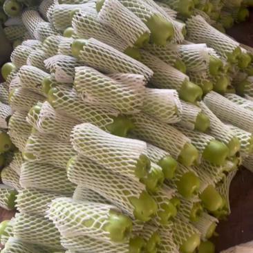 毛毛钱不花，便宜质量好，可配货整车。