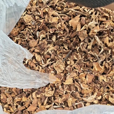 榛蘑去根，有烘干的，有晒干的，有丁，有片蘑菇，产地直销。