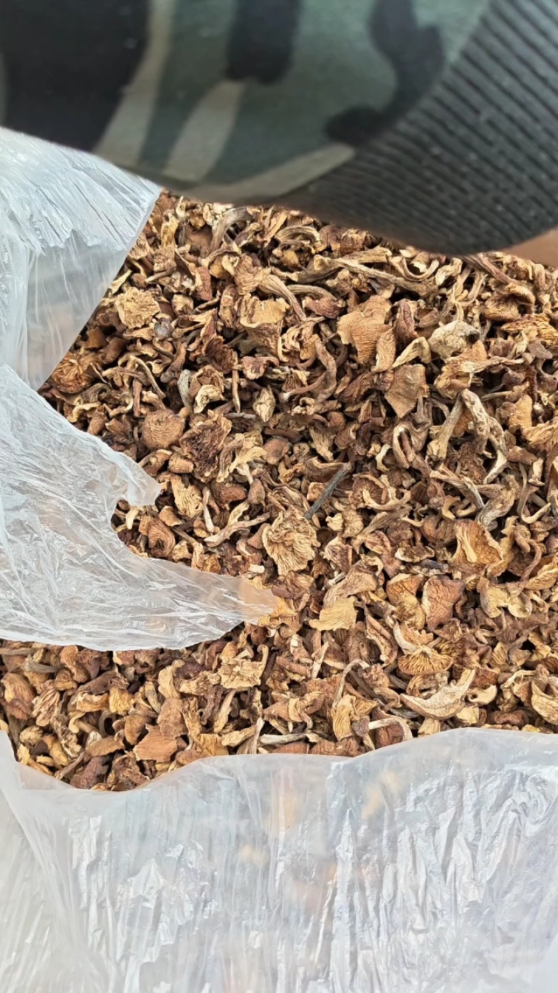 榛蘑去根，有烘干的，有晒干的，有丁，有片蘑菇，产地直销。