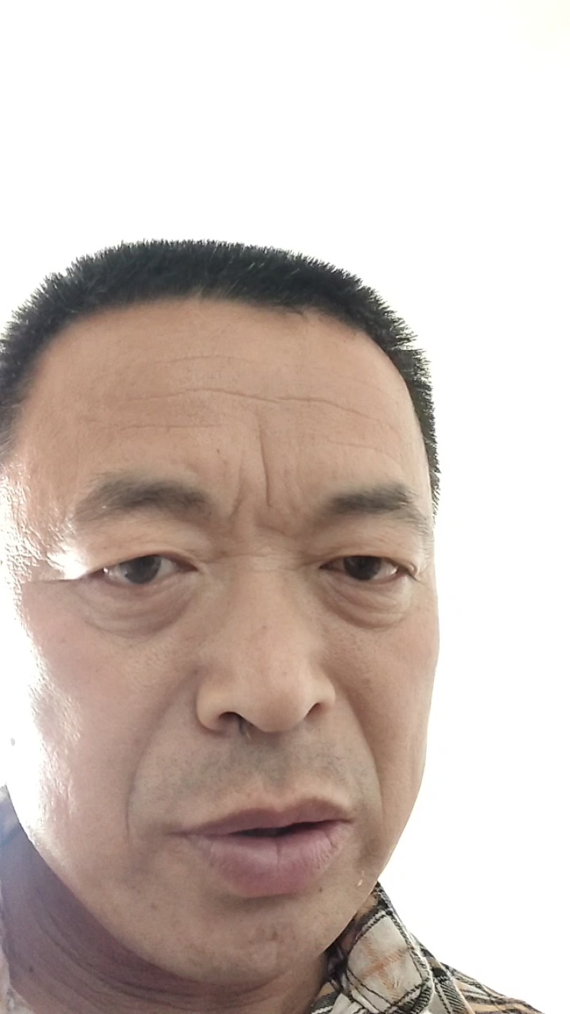白玉山药豆大量有货基地直供品质优新鲜可视频看货热卖中
