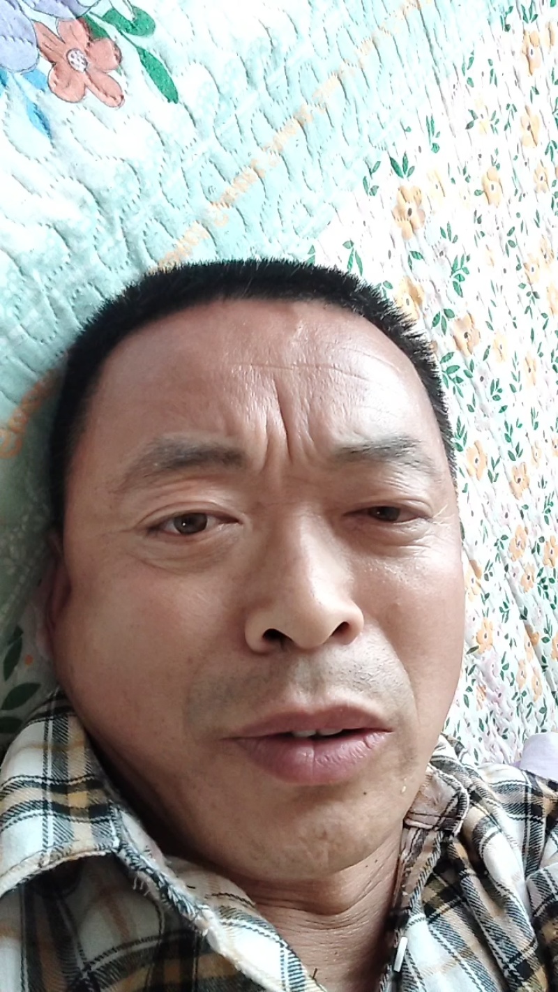 花生秧。鸵鸟，鹅，鸭用大量有货基地直供品质优可视频看