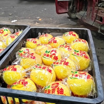 湖南怀化黄金贡柚清香脆甜无酸味好吃不上火储存期长达一年