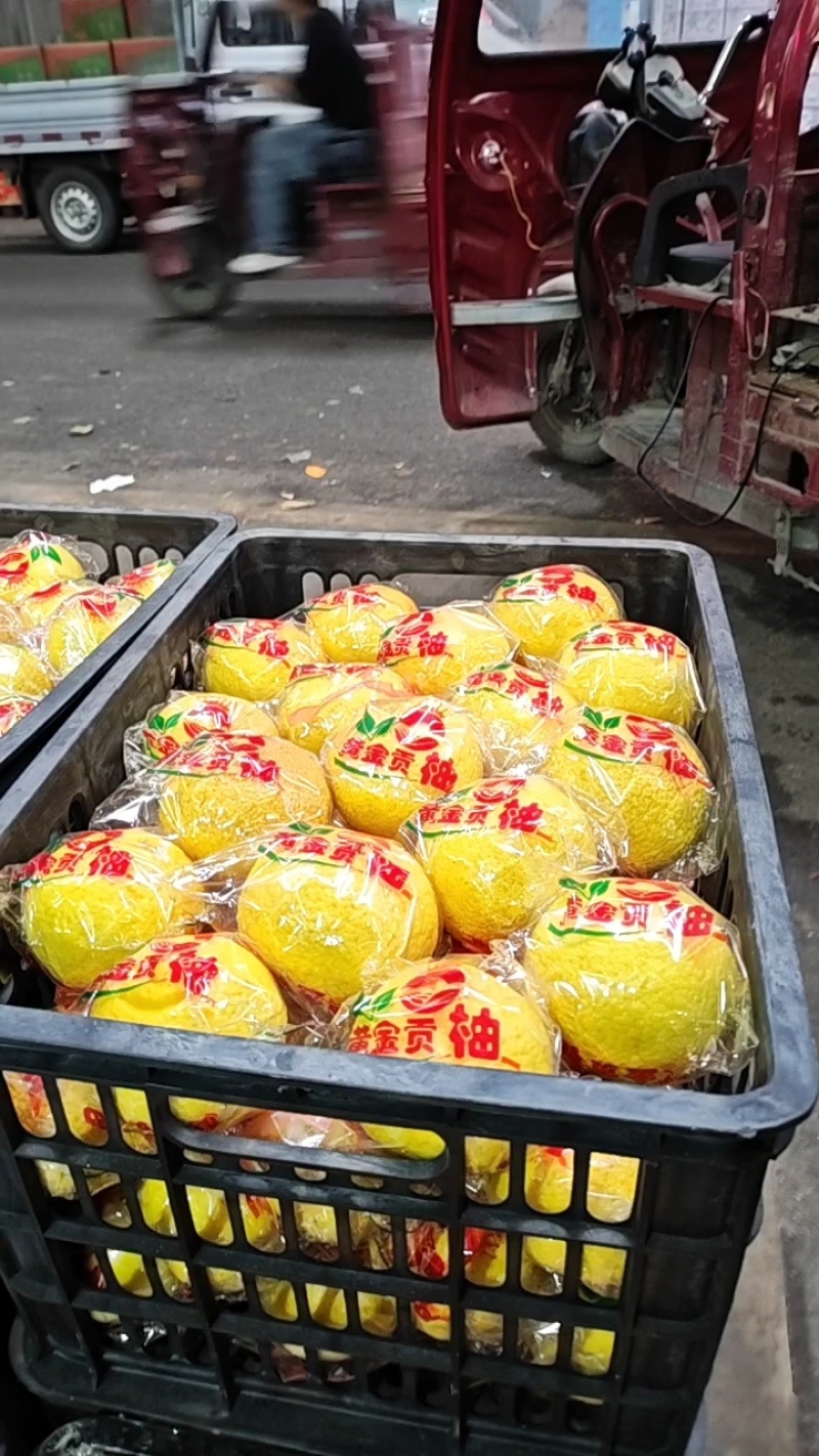 湖南怀化黄金贡柚清香脆甜无酸味好吃不上火储存期长达一年