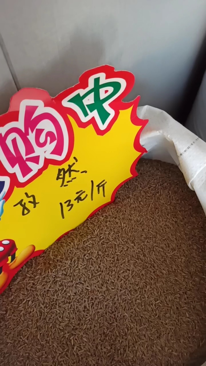 孜然，新疆小巴郎孜然，新疆种植孜然源头种植加工，颗粒饱满