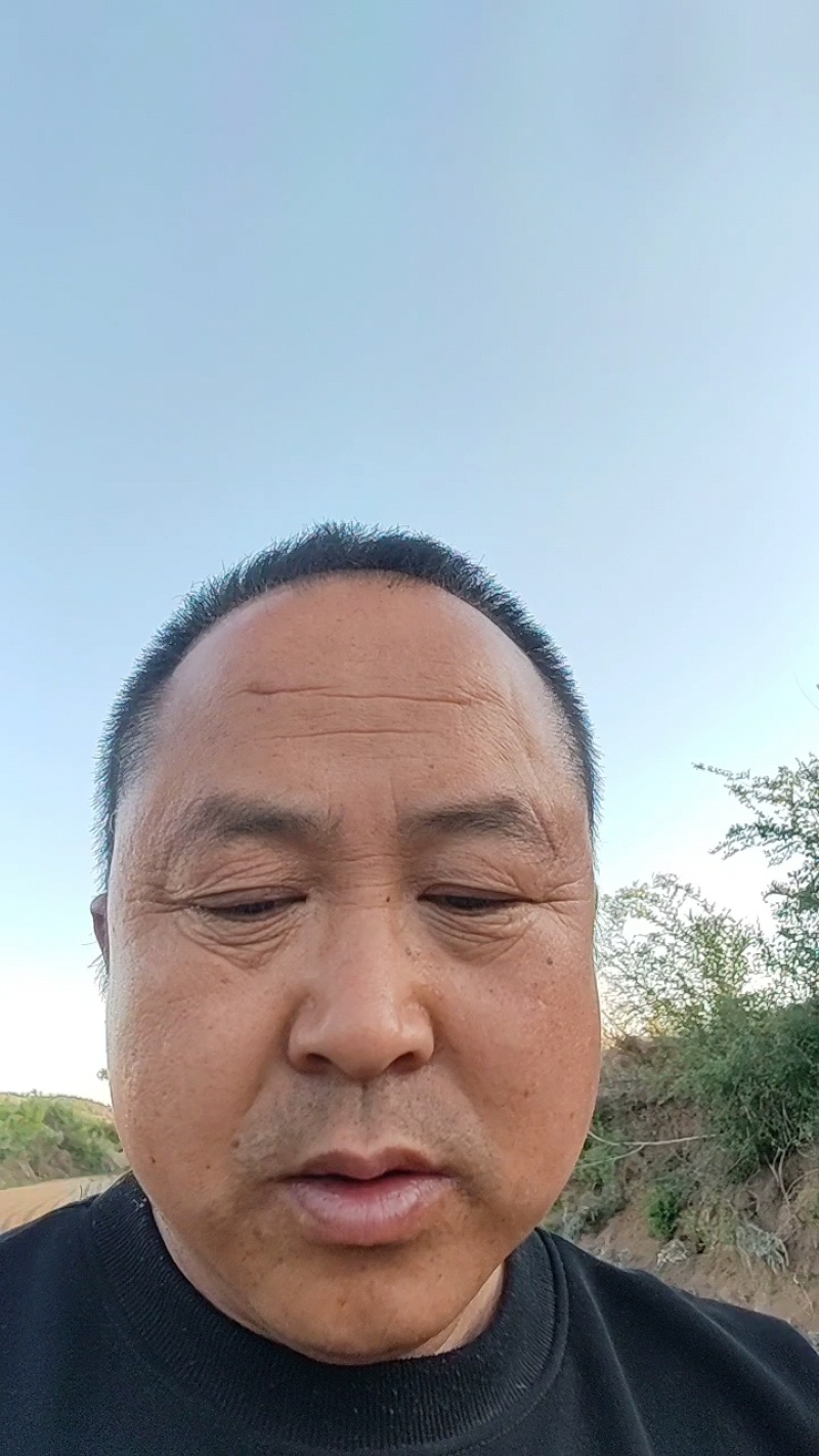 【放心苗】精选黄瓜苗～质量保证～视频实地看货