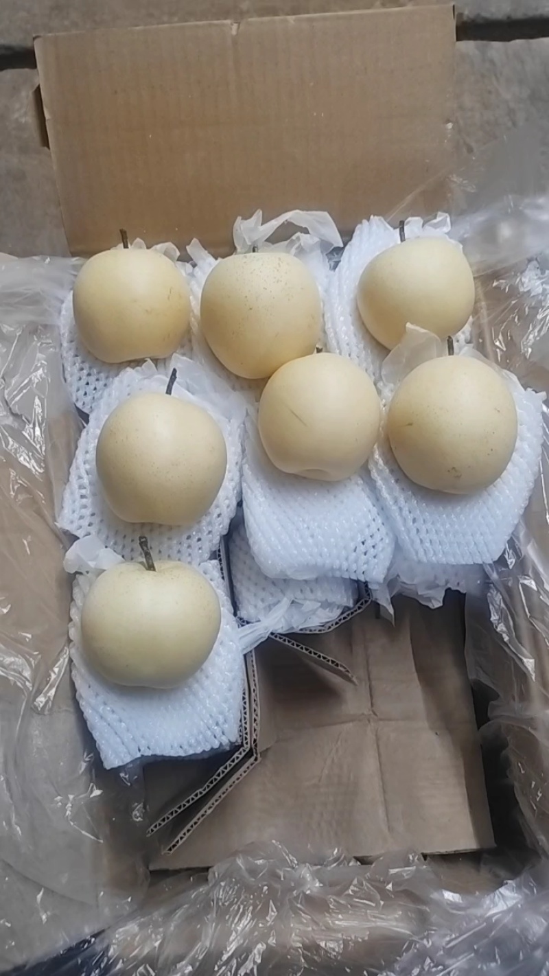 精品皇冠梨河北皇冠梨无中间商赚差价一手货源现货现发，质量