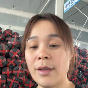 厂里供货防草布，果园茶园除草布质量可靠价格合理