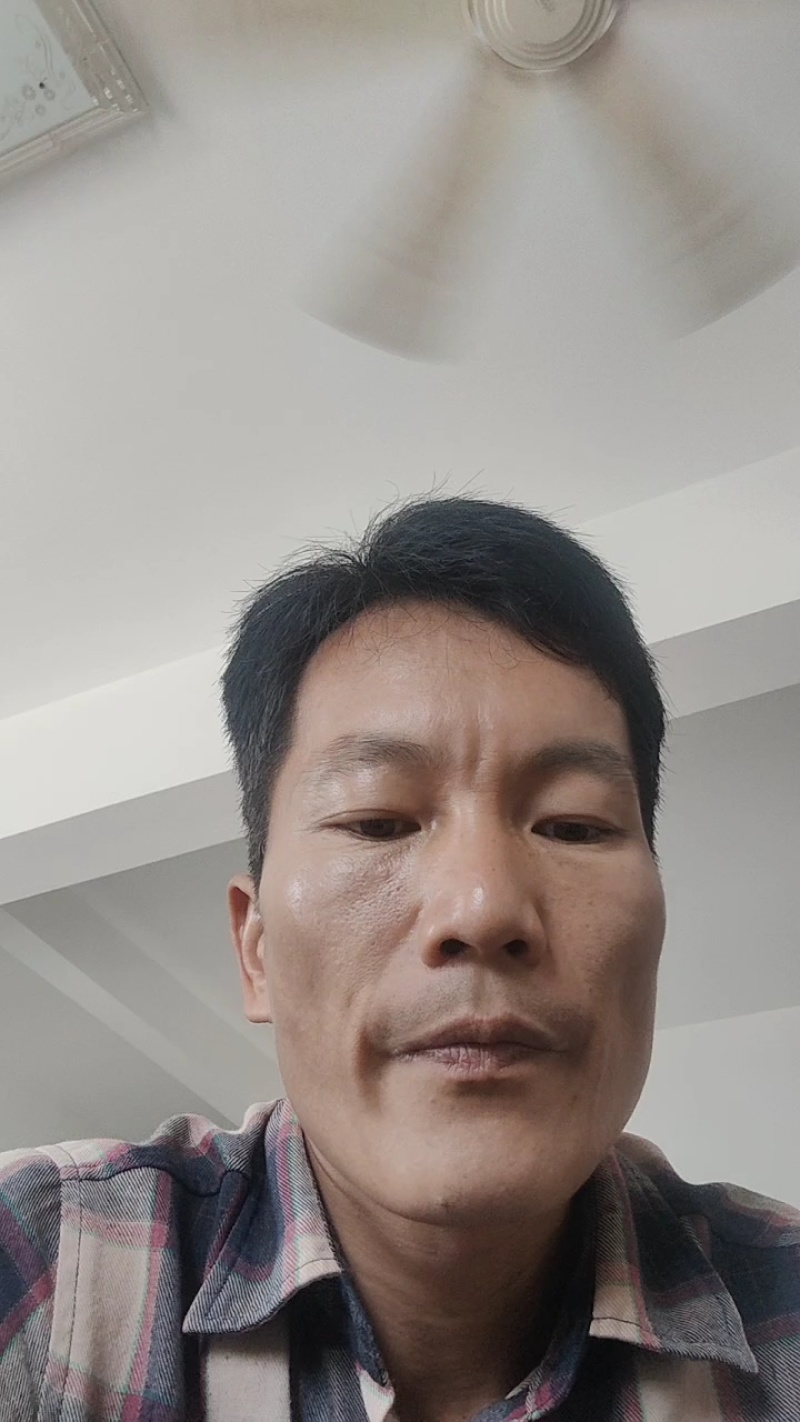 木瓜大青红心木瓜电白源产地货源充足全国直供