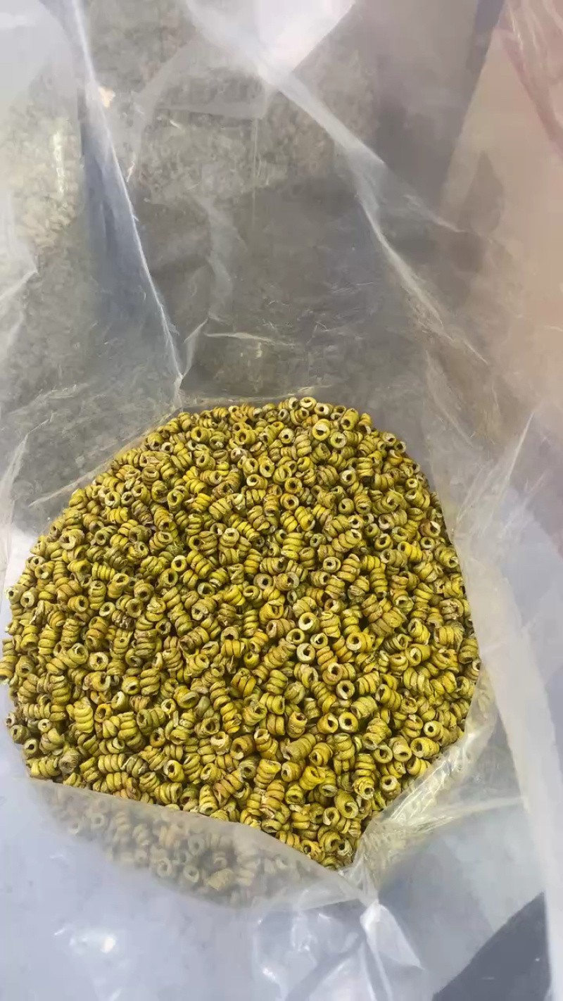 石斛霍山铁皮石斛枫斗新品种大量供应规格齐全，量大从优