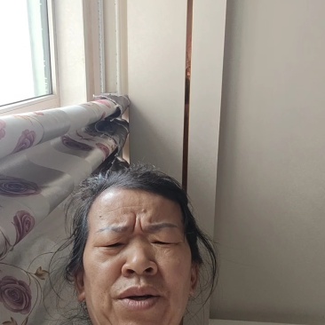 新疆小白杏
