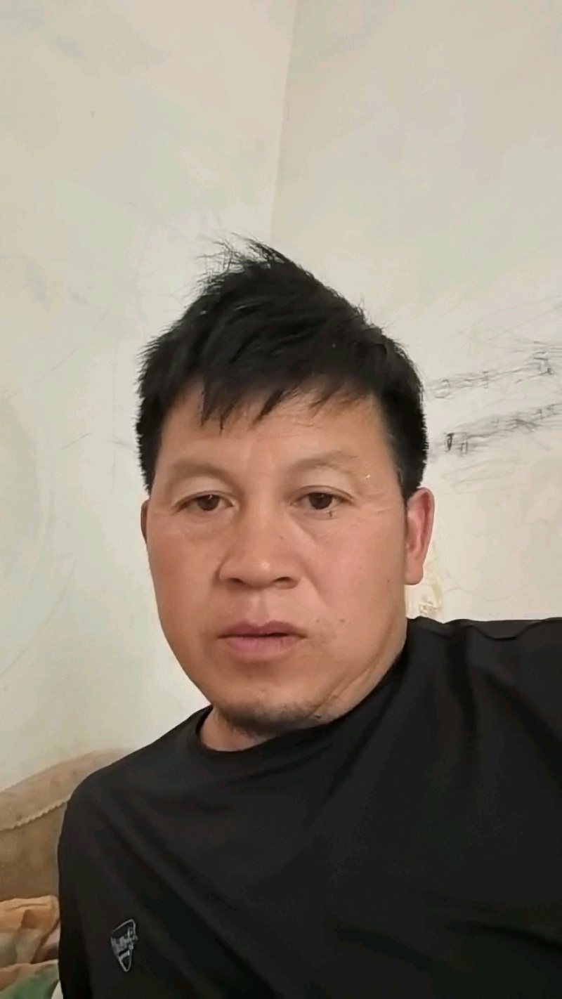 红美人树苗红公主柑橘苗种苗红美人柑橘苗欢迎来电咨询