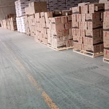 新疆灰枣产地直供全面有货保质保量欢迎采购