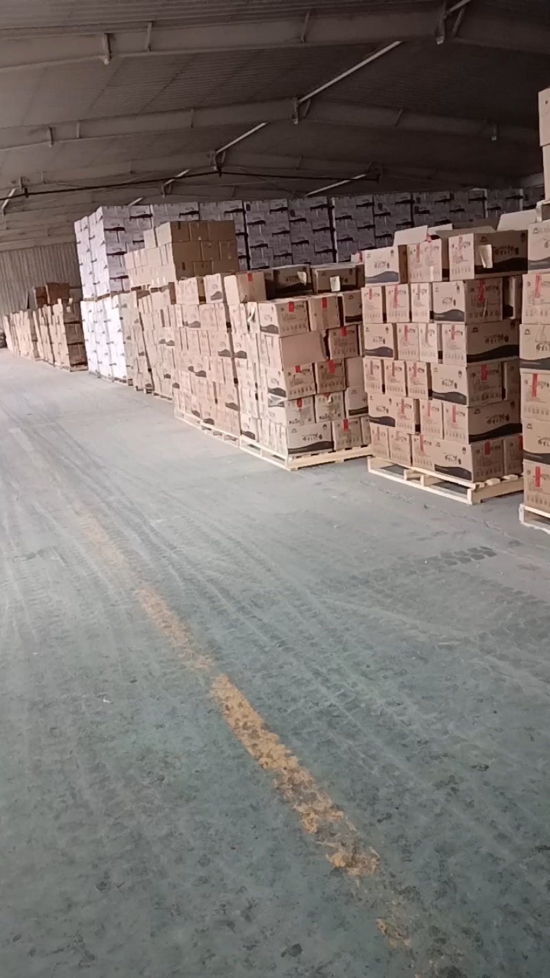 新疆灰枣产地直供全面有货保质保量欢迎采购