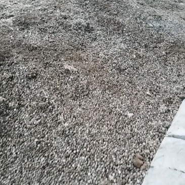 兔粪