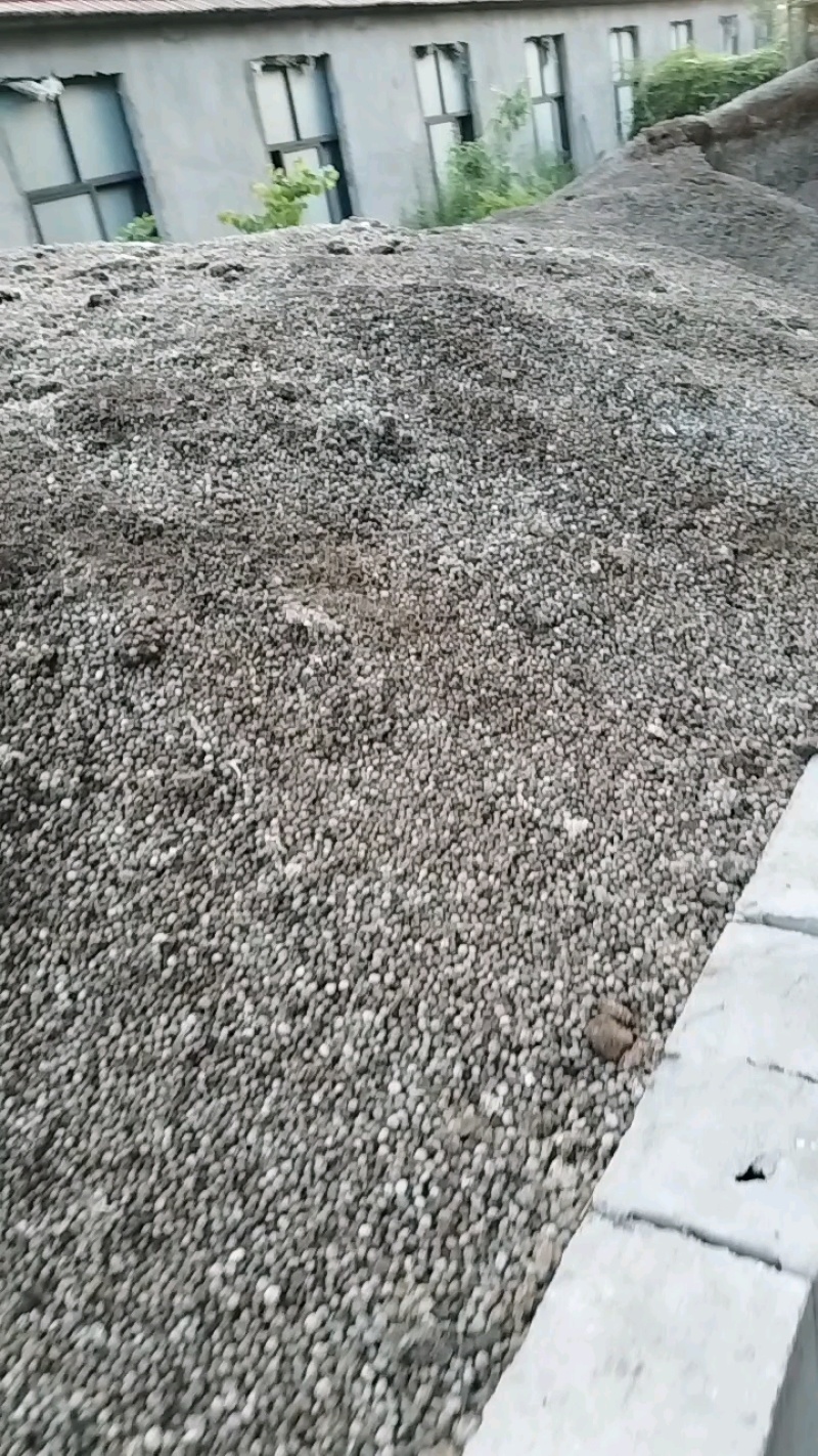 兔粪