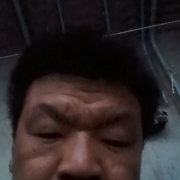 博洋六一