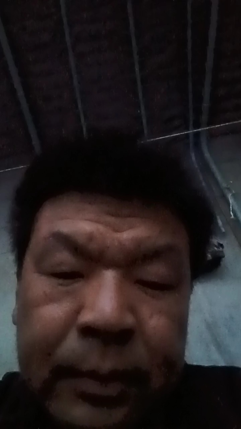 博洋六一