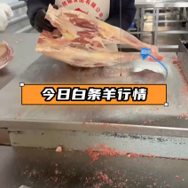 内蒙古精品羊肉/羔羊白条羊/保质保量/量大从优/欢迎下单