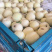 砀山精品甜瓜新鲜上市，货源充足，诚信经营，价格美丽