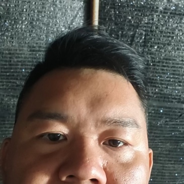 出口级品质!可预订，可量身定制，200万棒级实力供应!