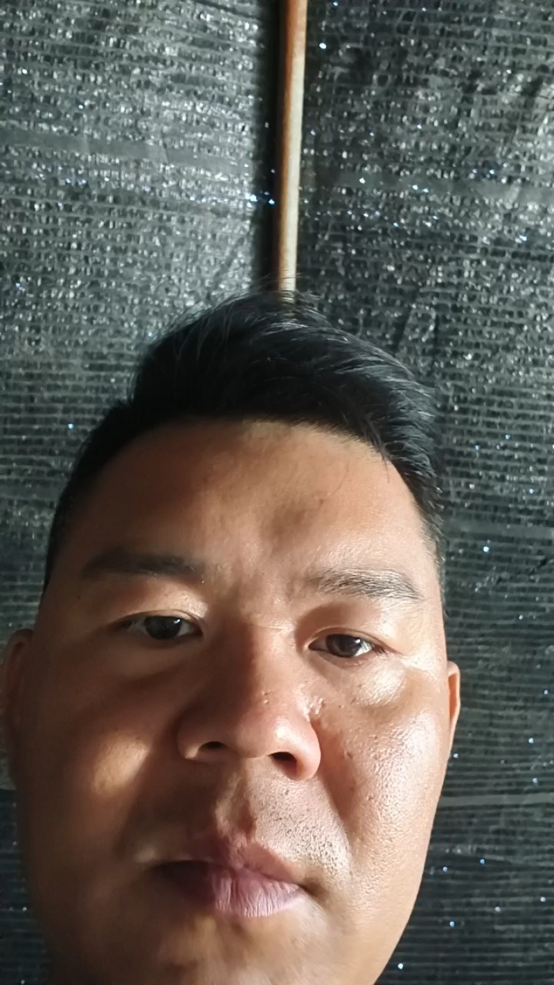 出口级品质!可预订，可量身定制，200万棒级实力供应!