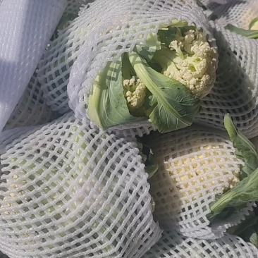开封精品松花菜花菜有机花白面青梗小颗粒基地直发