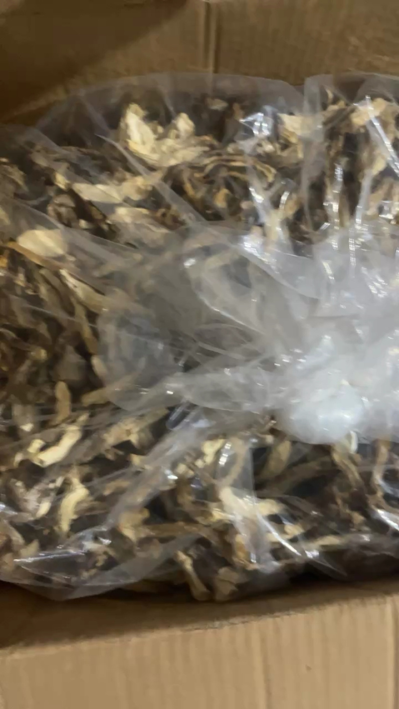 鹿茸菇可地摊商超餐饮可视频看货现货供应