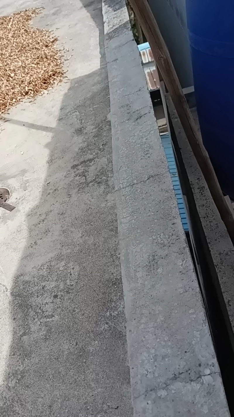 六年陈皮