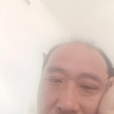 基地大棚木耳菜大量上市中有需要的可以联系。