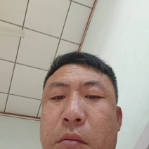 《皇冠梨》河北省辛集市皇冠梨，包脆包甜坏果包赔