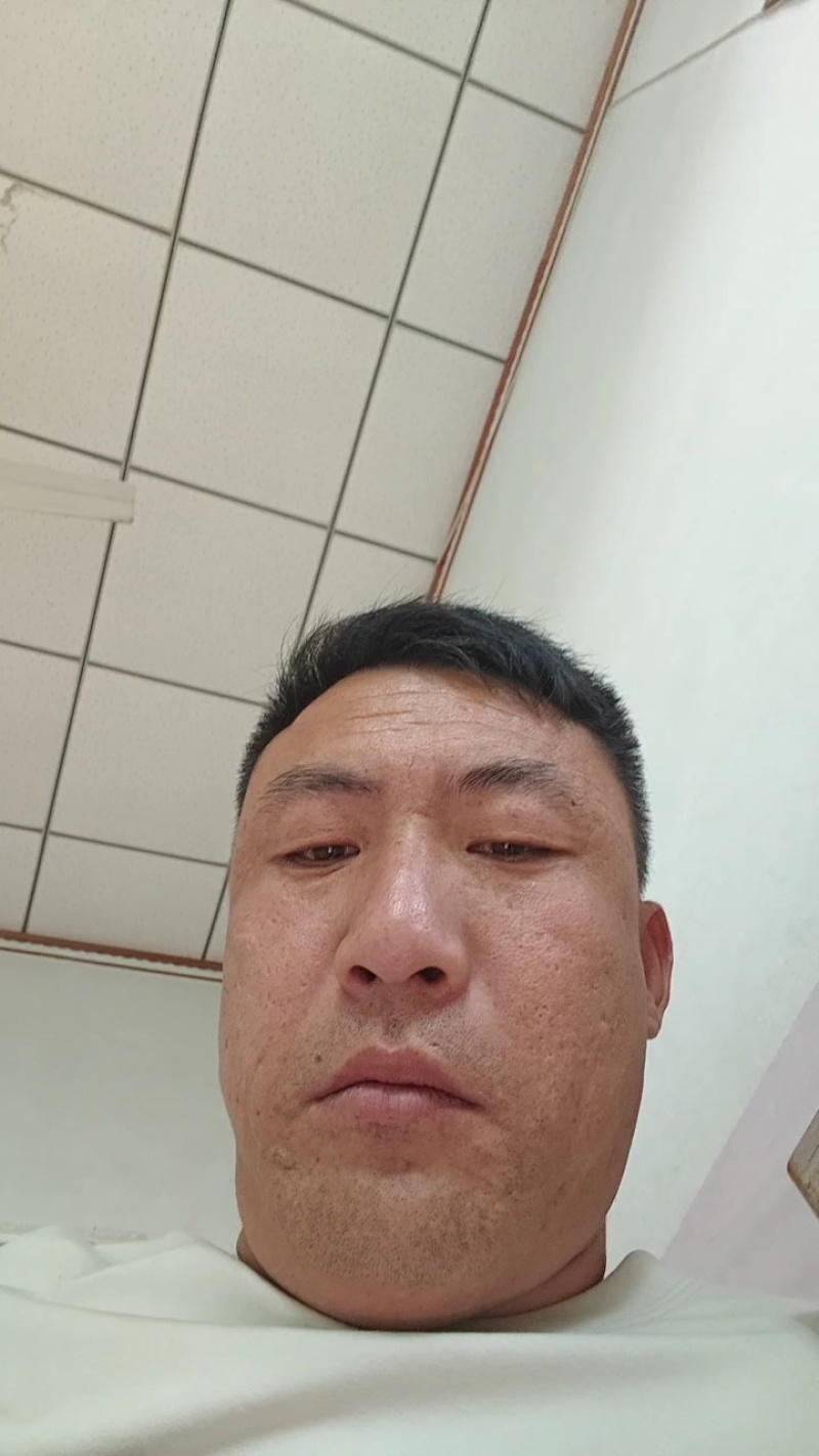 《皇冠梨》河北省辛集市皇冠梨，包脆包甜坏果包赔