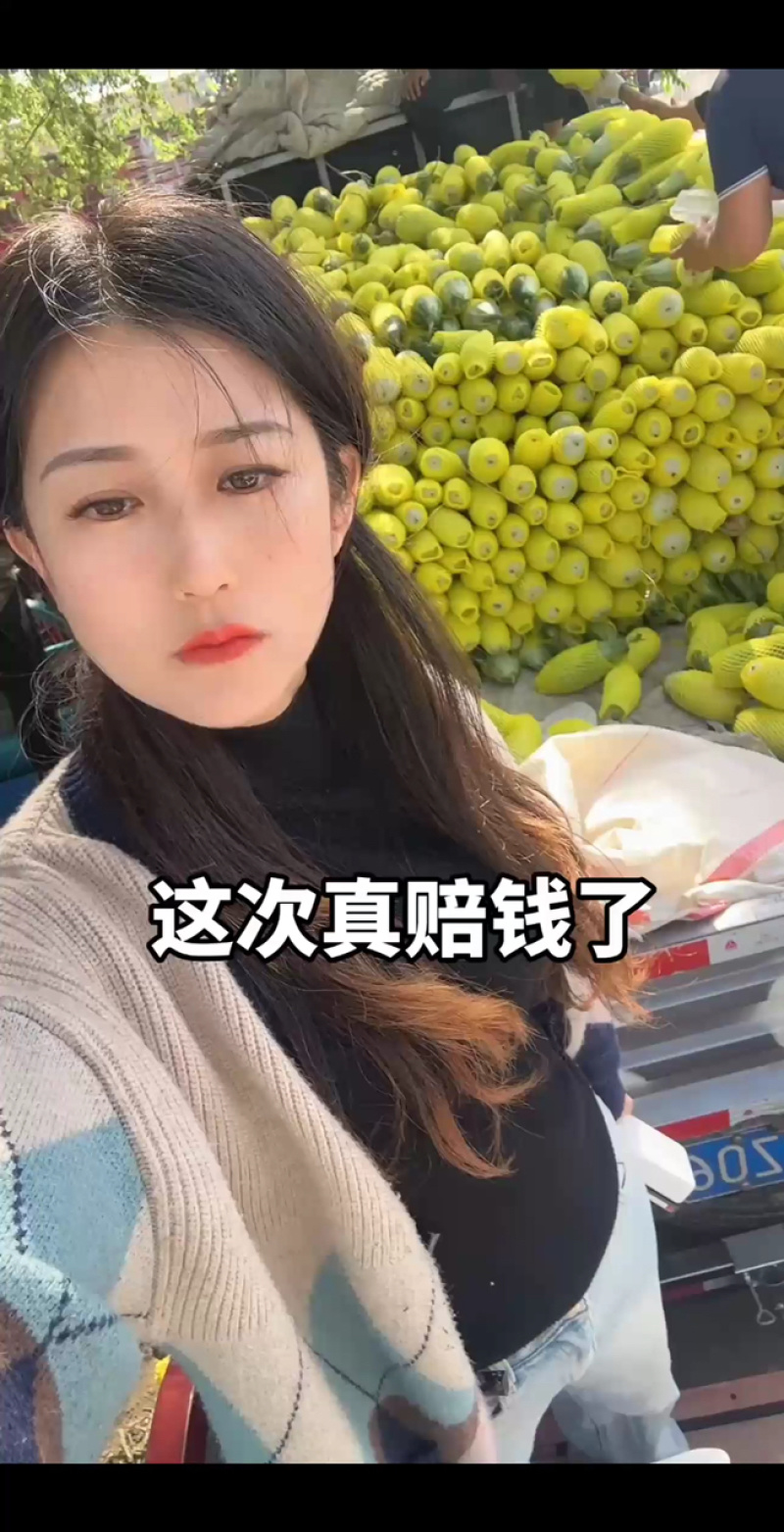 羊角蜜甜瓜山东羊角蜜甜瓜聊城羊角蜜甜瓜头茬吊瓜