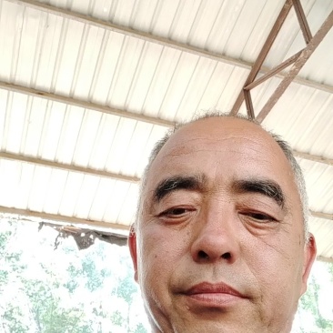 山东小糖丸西瓜大量上市，质量保证，欢迎电话联系