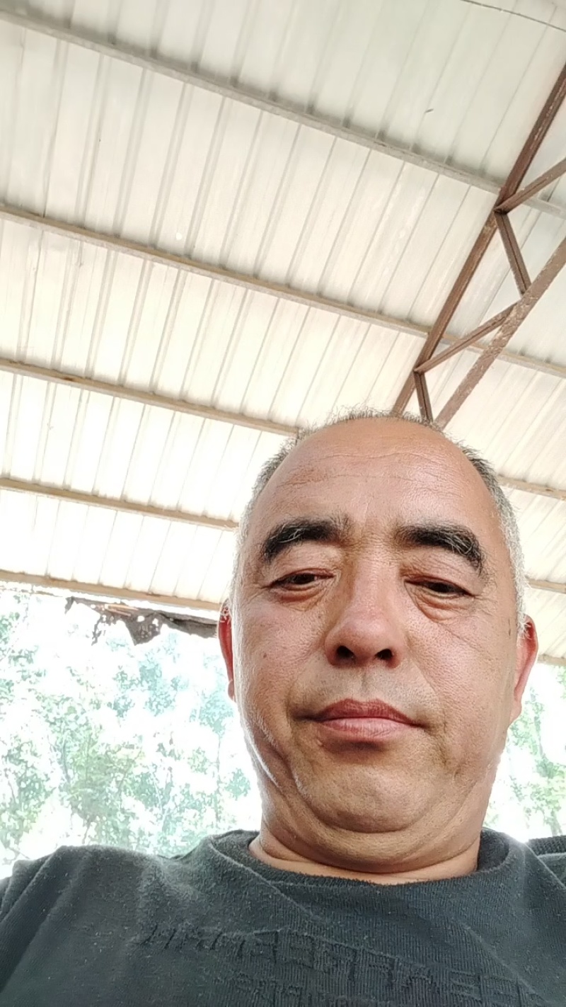 山东小糖丸西瓜大量上市，质量保证，欢迎电话联系
