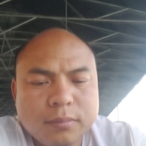 【推荐】黄心白菜大白菜山东果蔬基地直发保质保量