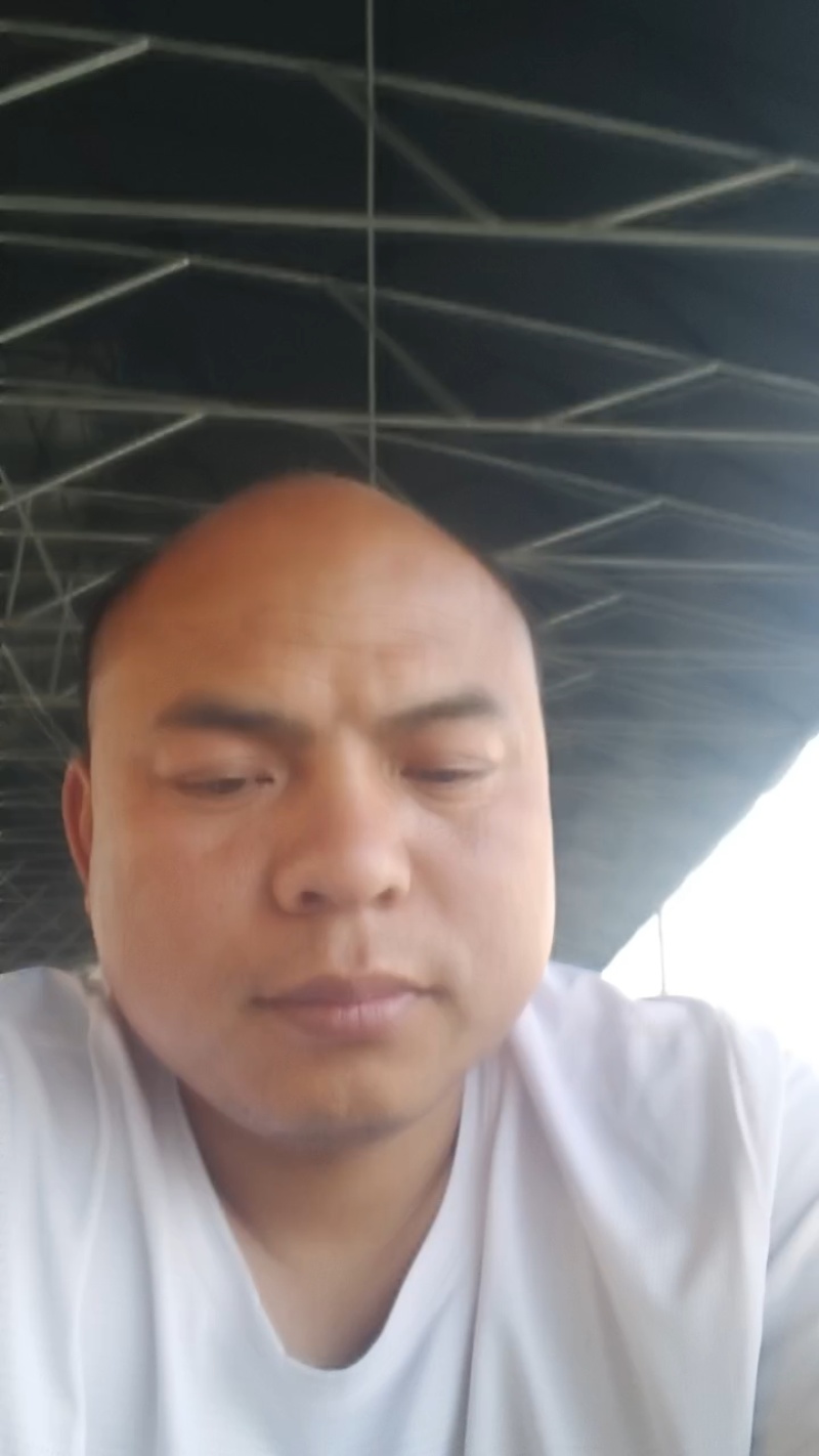 【推荐】黄心白菜大白菜山东果蔬基地直发保质保量
