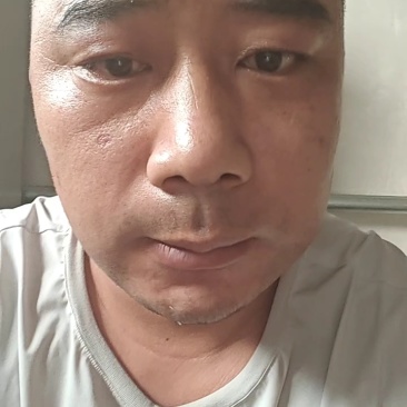 精品黄蜜樱桃大量供应，山东烟台产地出发，对接电商商超