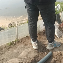 辽宁盘锦丰锦大米，产地直发，口感软糯香甜，一件也代发。