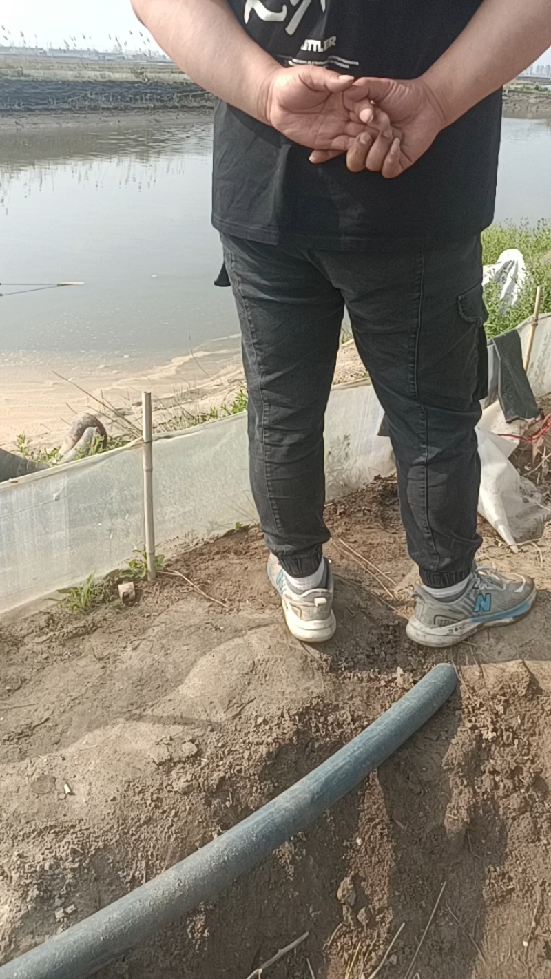 辽宁盘锦丰锦大米，产地直发，口感软糯香甜，一件也代发。