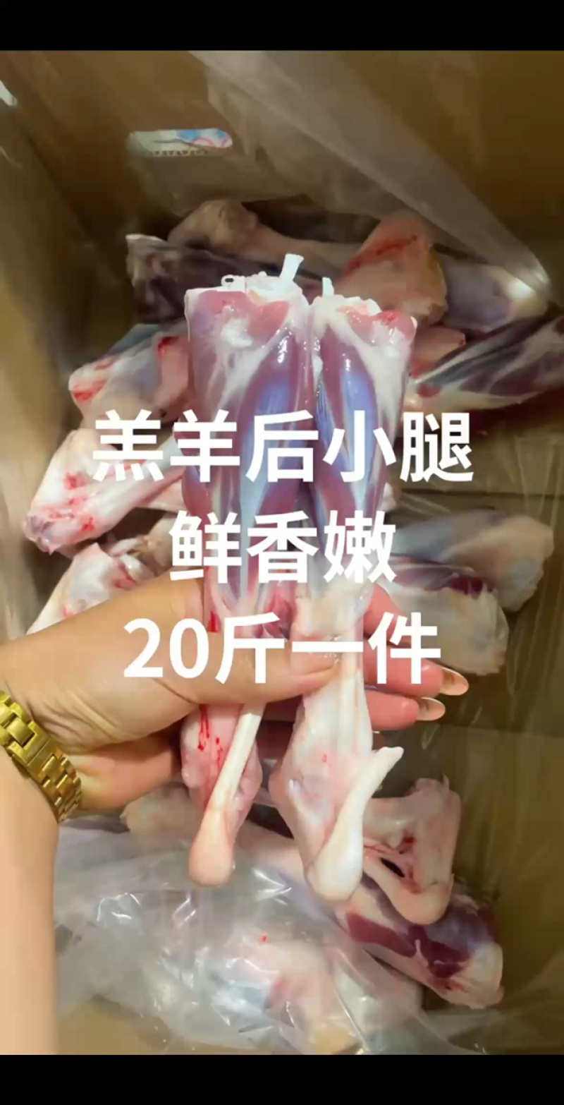 内蒙古精品羊副产品羊小腿/诚信经营/量大从优/工厂直发