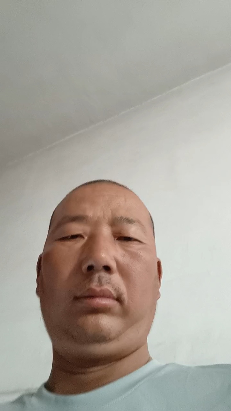 邯郸精品大叶香菜大量有货/量大价优/欢迎咨询