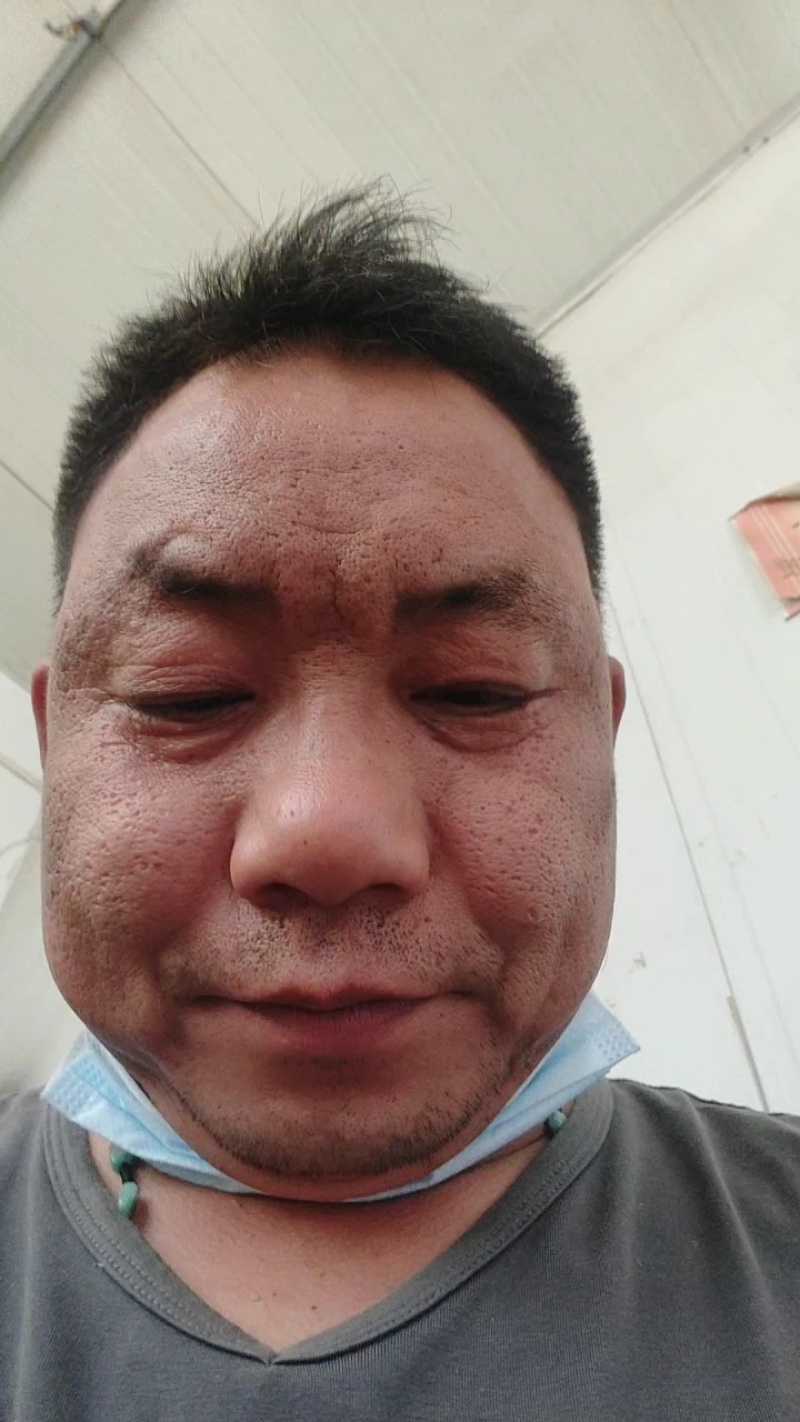鸽子蛋对接全国产地直发保质保量欢迎各大批发商采购