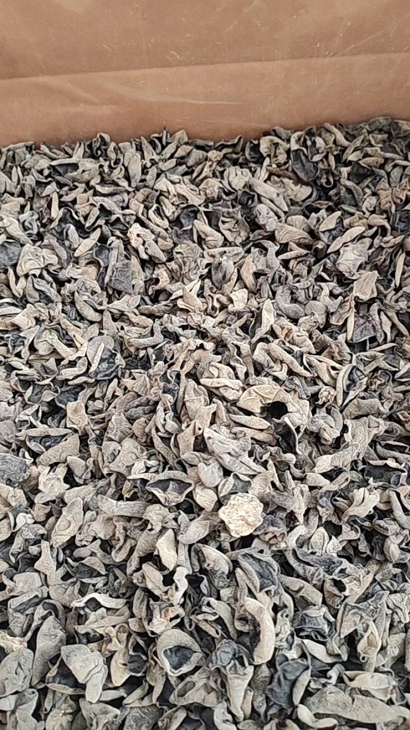 东北黑木耳，大量上市，全国发货，欢迎进店沟通