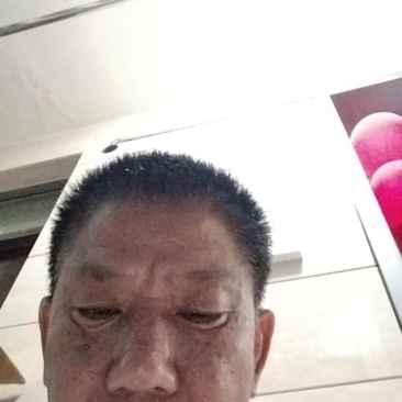 木姜子山苍籽秋后熟够籽去皮山苍籽，