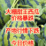 甜王西瓜，大量新鲜现货速发，保质保量，欢迎选购