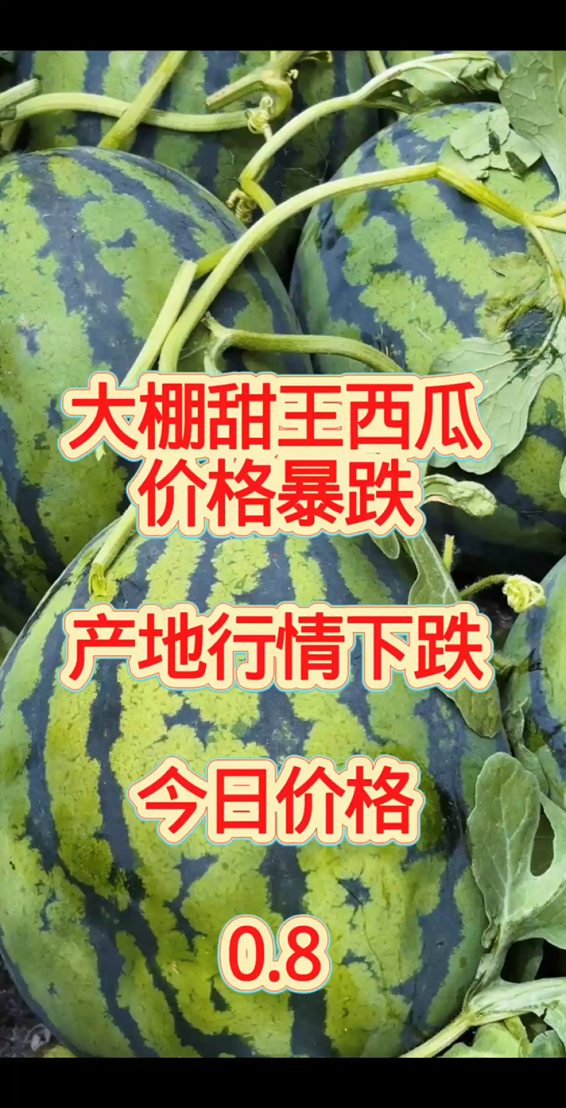 甜王西瓜，大量新鲜现货速发，保质保量，欢迎选购