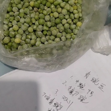 青豌豆产地直供，镰刀豌，中豌豆9号，双11大量有货