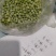 青豌豆产地直供，镰刀豌，中豌豆9号，双11大量有货